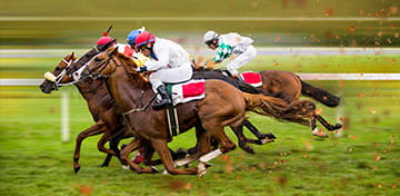 Tradition chinoise des courses de chevaux