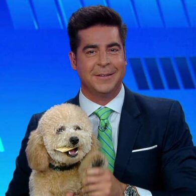 What breed of dog is Jesse Watters dog rookie?