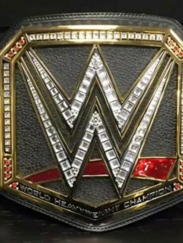How much is the WWE belt worth?