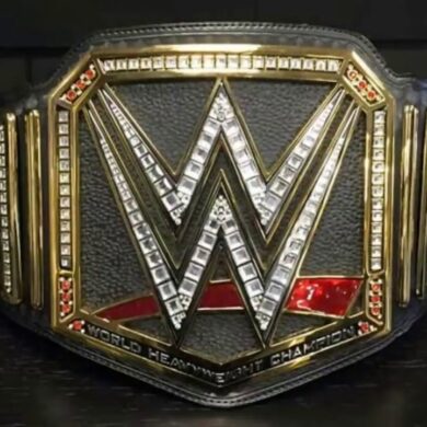 How much is the WWE belt worth?