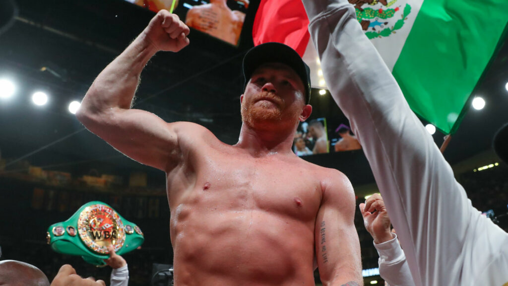 How much does Canelo Alvarez make per fight?
