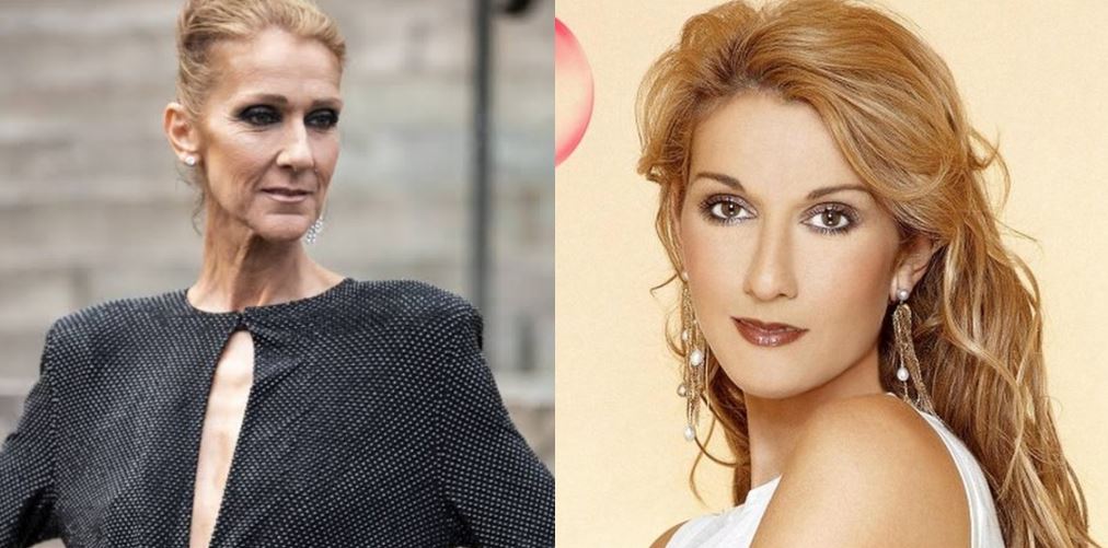 What business does Celine Dion have?