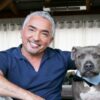 How does Cesar Millan make money?