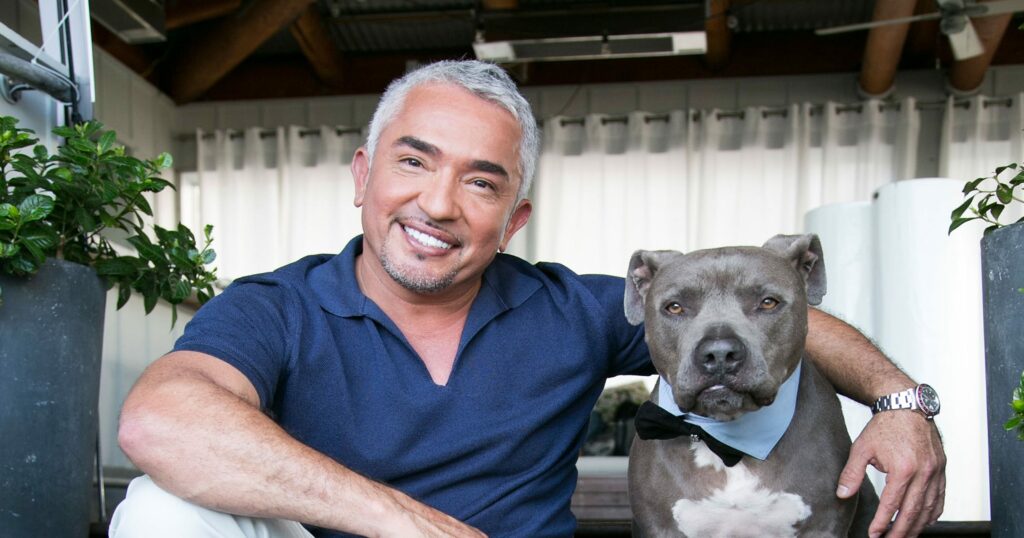 How does Cesar Millan make money?