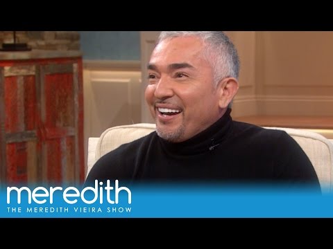 How much does Cesar Millan charge for his dog services?
