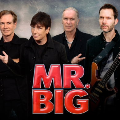 What is Mr. Big's job?