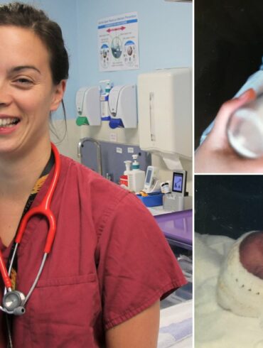 How much does sterling make a week?