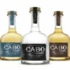 How much did Hagar sell Cabo Wabo for?