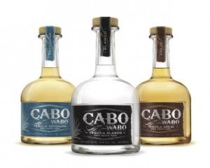 How much did Hagar sell Cabo Wabo for?