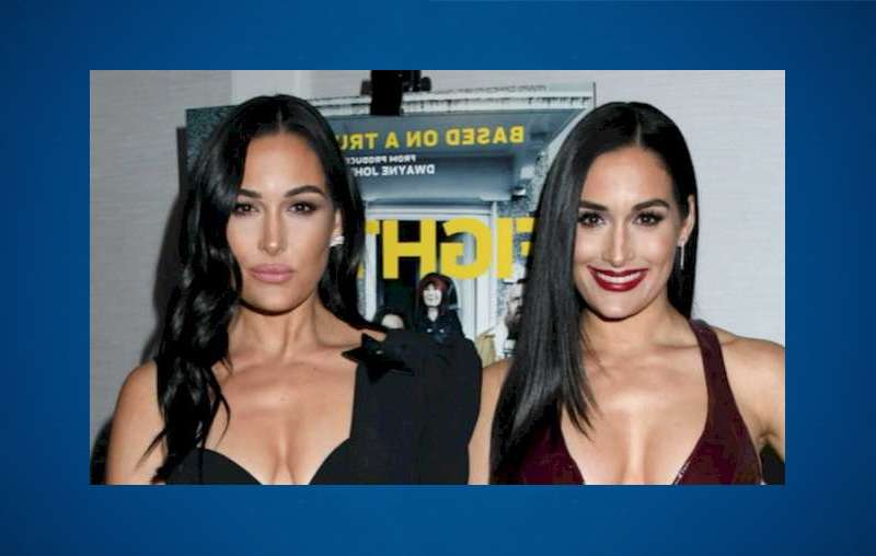 What is Brie Bella's net worth 2021?