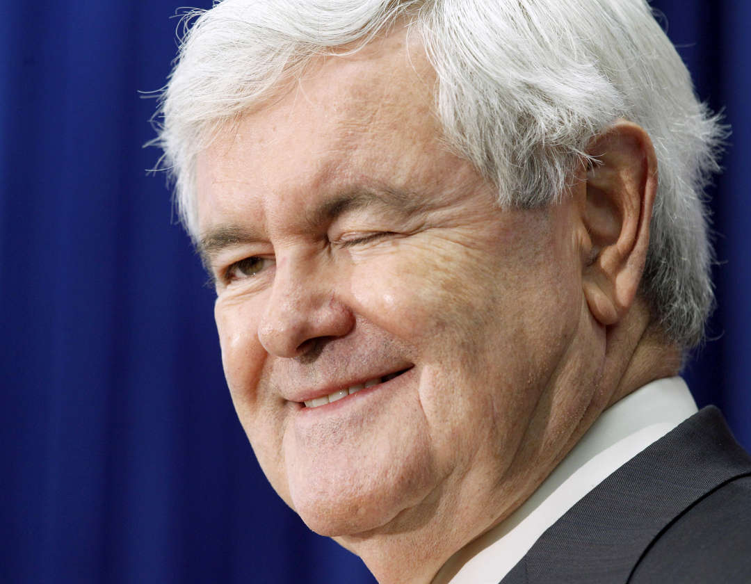 When did Newt Gingrich become Speaker of the House?