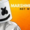 What is Marshmallow net worth?