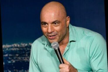 Does Joe Rogan have a wife?