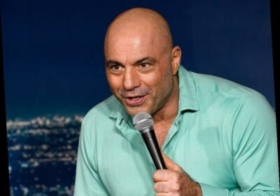 Does Joe Rogan have a wife?