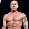 What is Joe Rogan's net worth in 2020?