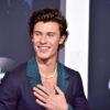What is Shawn Mendes net worth?