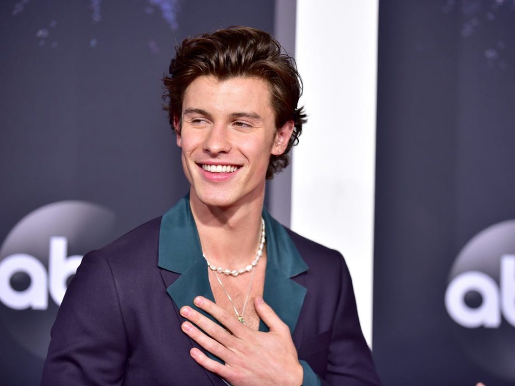 What is Shawn Mendes net worth?