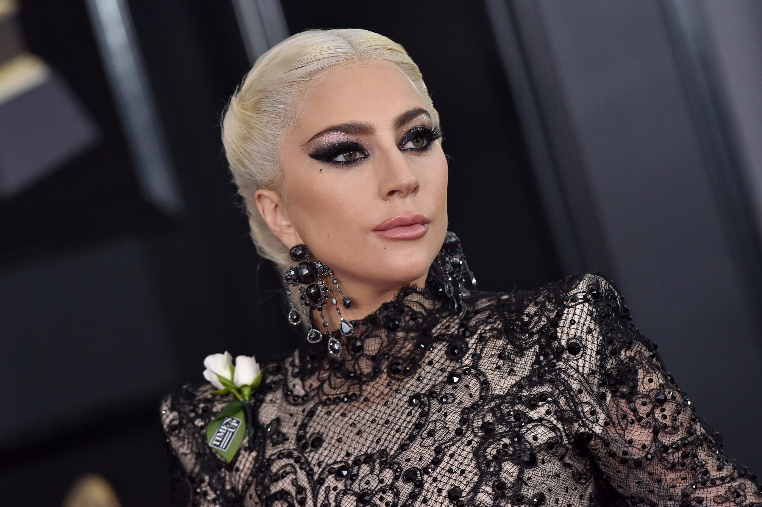 What is Lady Gaga's net worth?