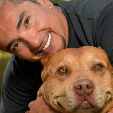 How much does Cesar The Dog Whisperer charge?