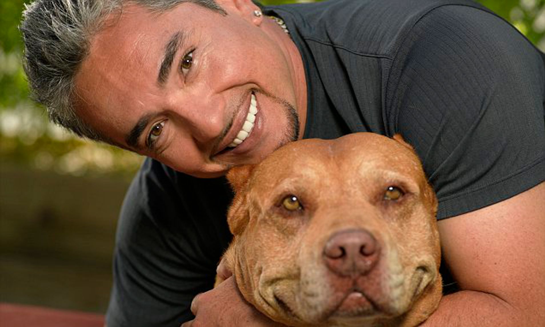 How Much Does Cesar Millan Charge To Train A Dog New Update - Dogs Hint