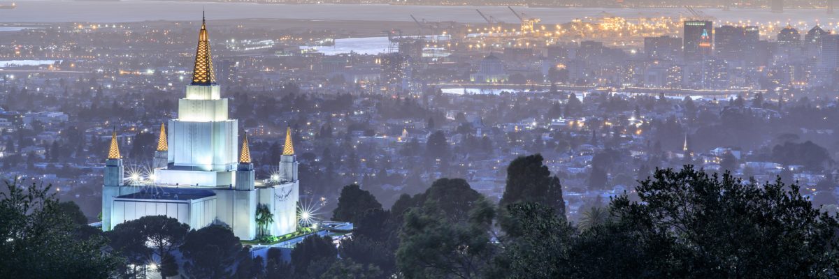 Is the Mormon church richer than the Catholic Church?