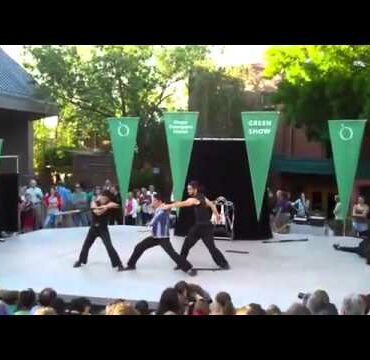 Who is the best kung fu fighter in the world?