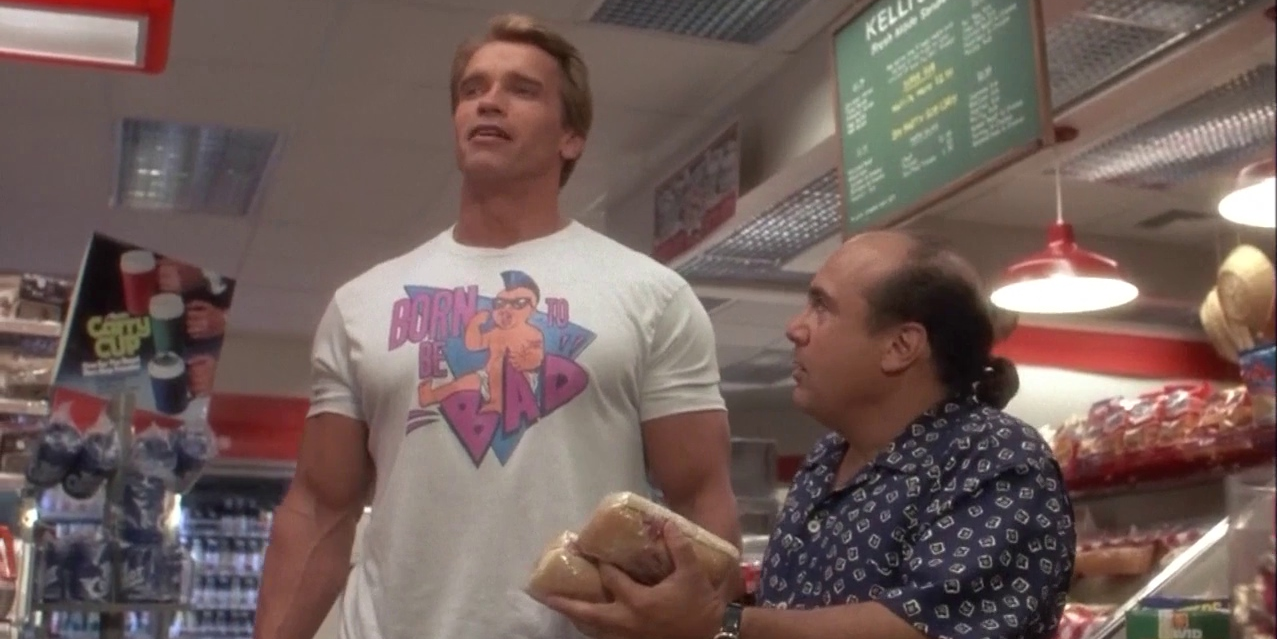 How much money did Arnold make in twins?