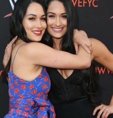 How much are Nikki and Brie Bella worth?