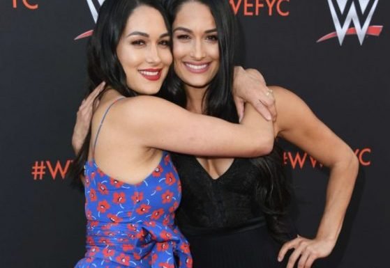 How much are Nikki and Brie Bella worth?