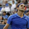 What is Roger Federer's net?
