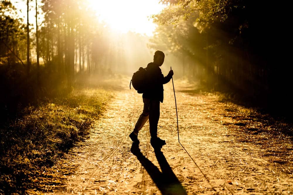 How many miles can you walk in a day?