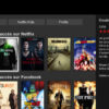 Comment faire pour ne pas payer Netflix ?