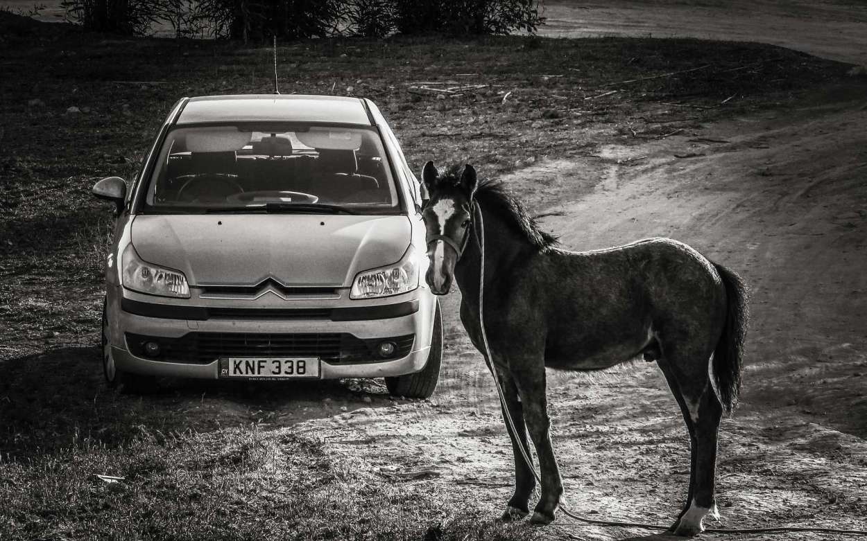 C'est quoi les chevaux dans une voiture ?