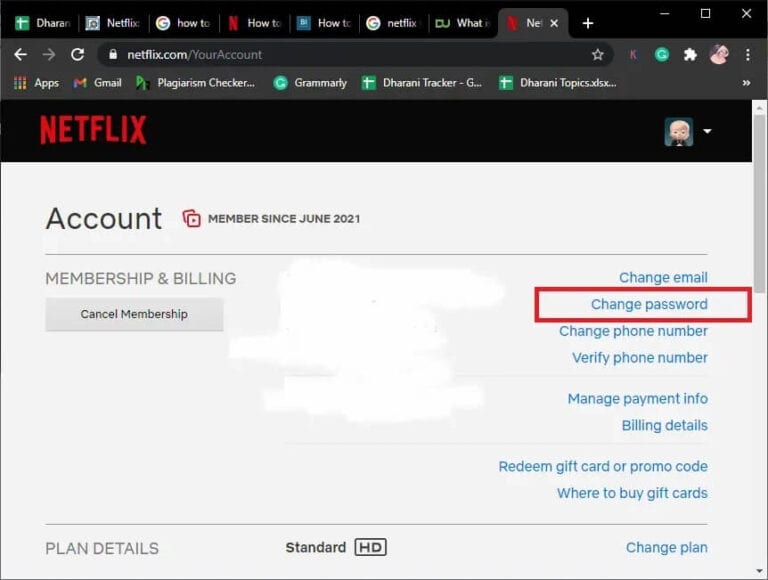 Comment savoir qui est connecté à mon compte Netflix ?