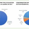 Quel est le pays qui consomme le moins d'eau ?