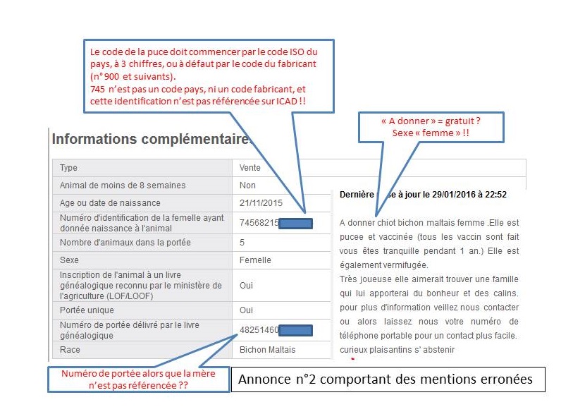 Comment donner son chien à un particulier ?