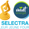 Quel est le fournisseur de gaz le plus avantageux ?