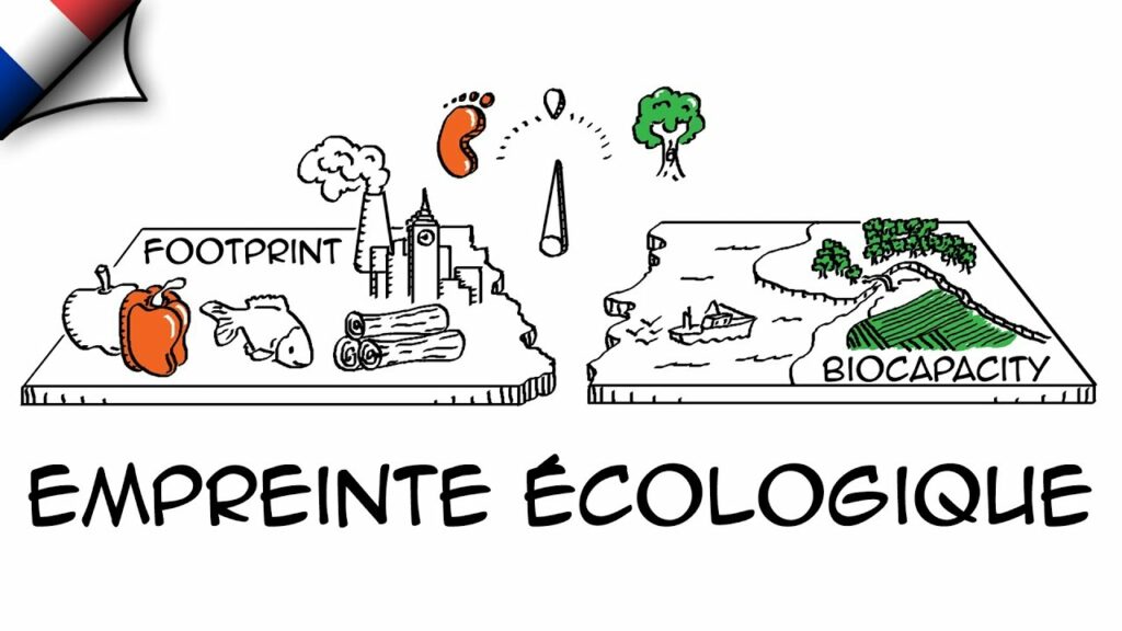Quelles sont les empreintes écologiques les plus fortes ?