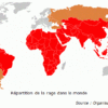 Comment soigner la rage chez l'humain ?