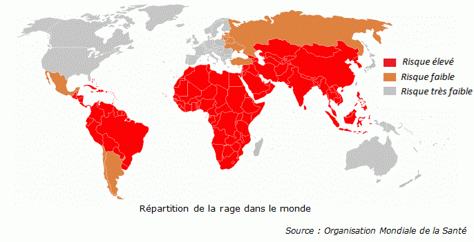 Comment soigner la rage chez l'humain ?