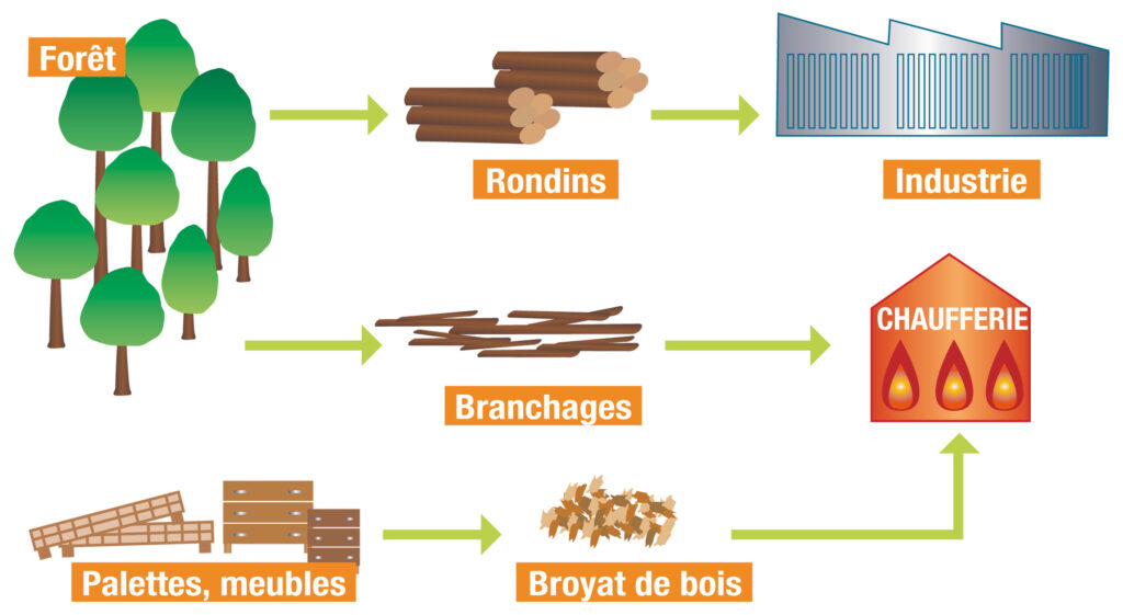 Qui utilise le plus la biomasse ?