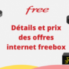 Où mettre le boîtier fibre Free ?