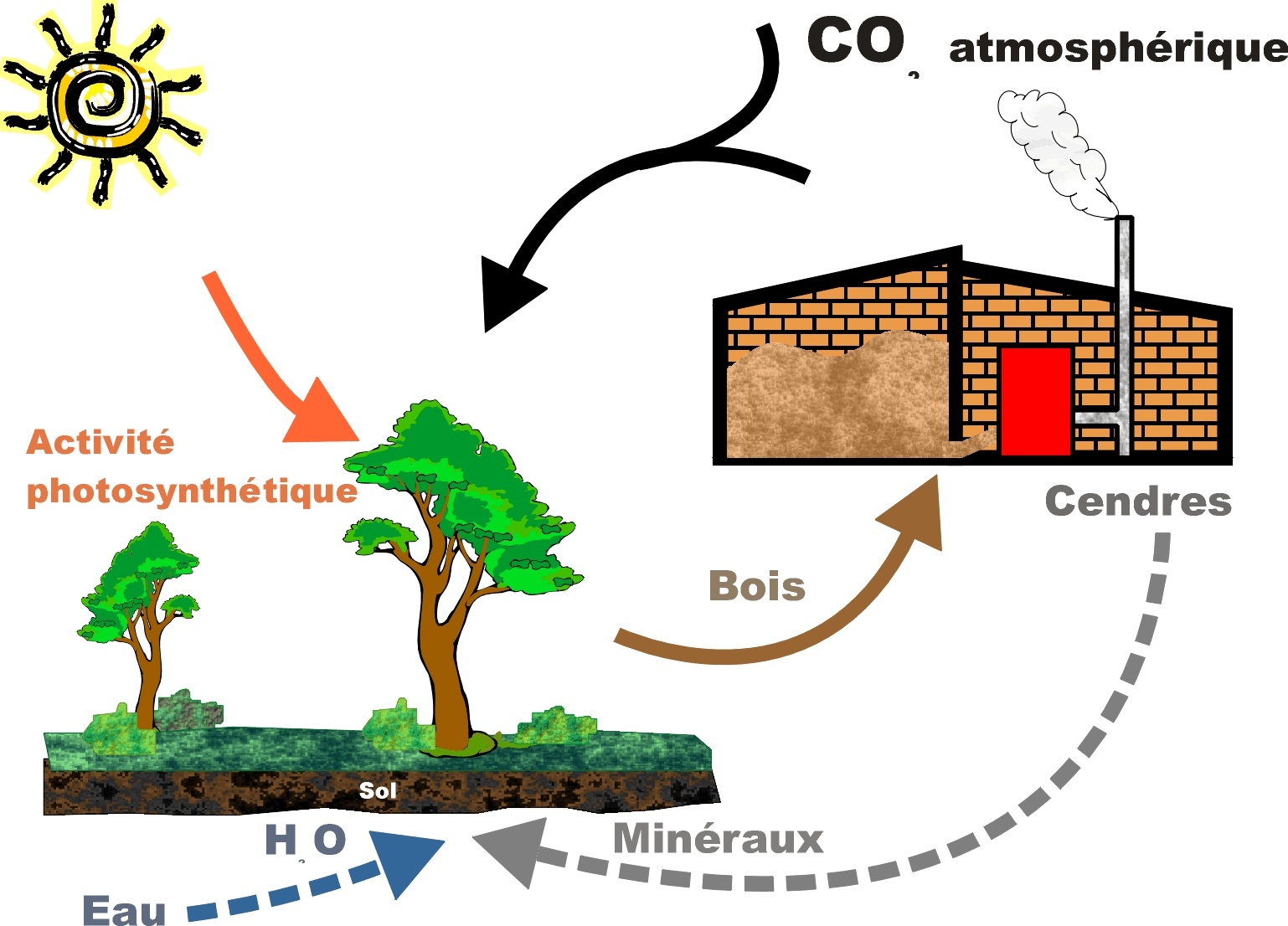 Comment obtenir de la biomasse ?