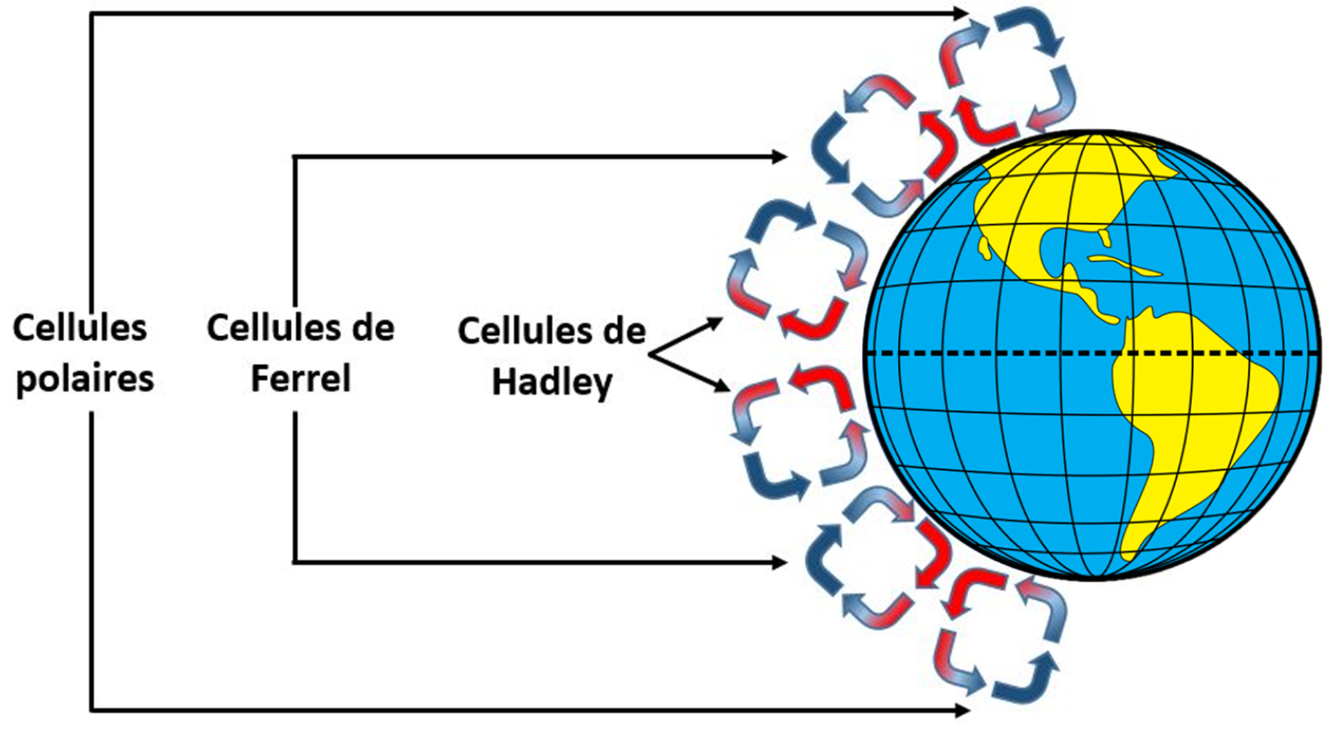 Quelles sont les conséquences de la force de Coriolis sur les mouvements océaniques ?