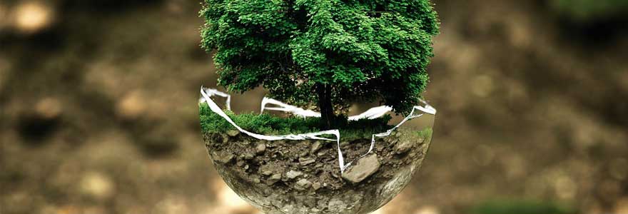 Pourquoi la loi Grenelle de l'environnement ?