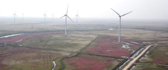 Pourquoi travailler dans les énergies renouvelables ?