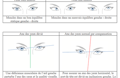 Comment faire pour consulter un podologue ?