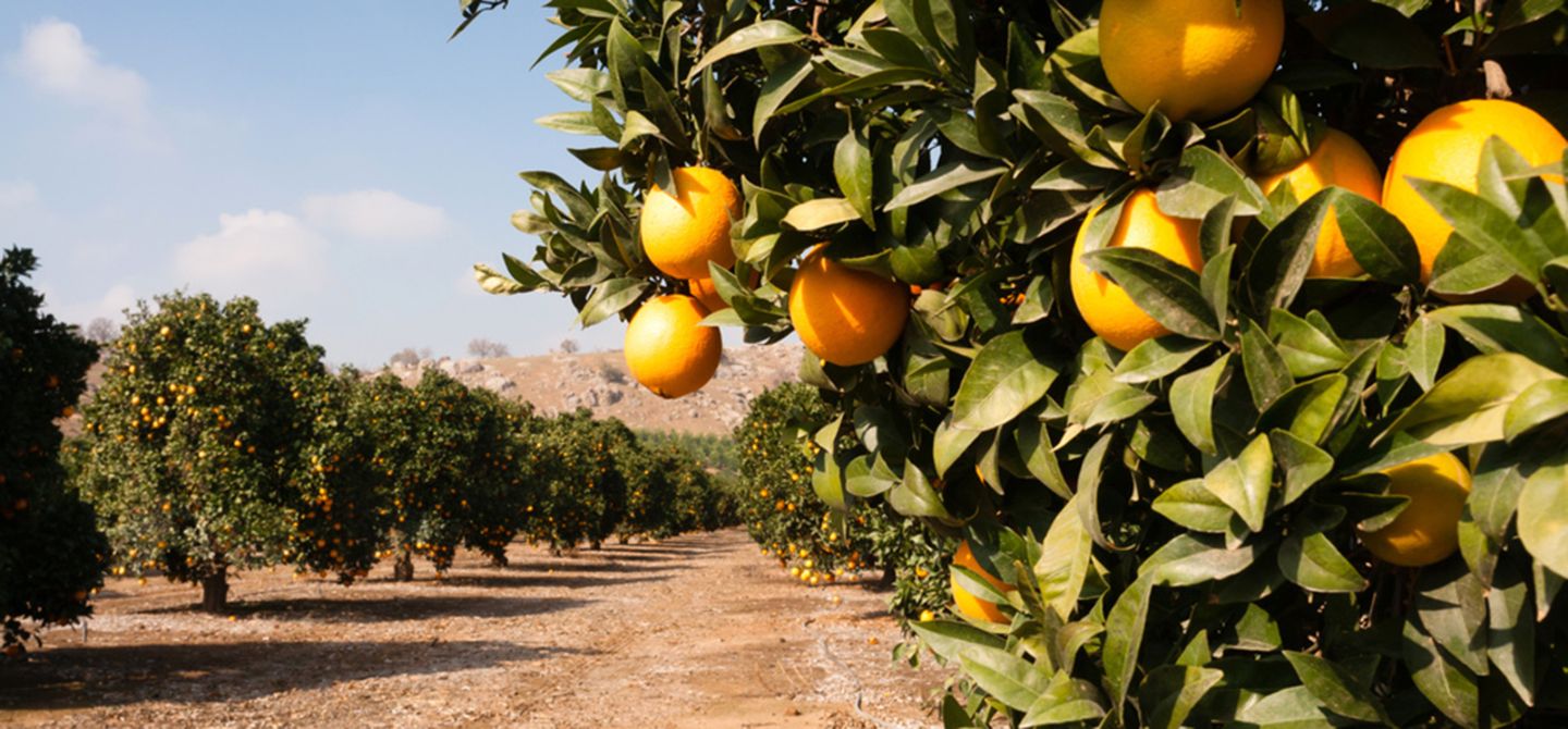 Comment recharger Orange Maroc par carte de recharge ?