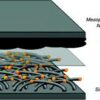 Quel chargeur pour batterie lithium LiFePO4 ?