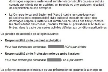 Quelle assurance pour l'université ?